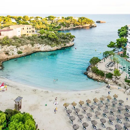 Marsenses Ferrera Blanca - Adults Only